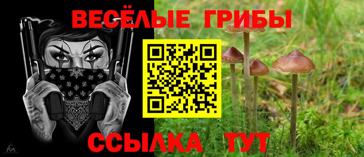 Псилоцибиновые грибы MAGIC MUSHROOMS  Камышин 