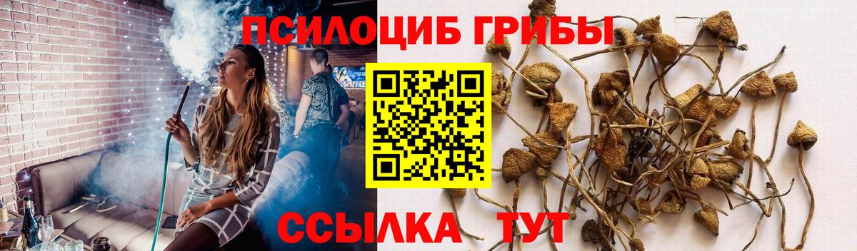 Галлюциногенные грибы прущие грибы Камышин
